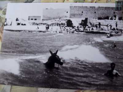L'area divenne inoltre meta ambita per chi voleva trascorrere una giornata in spiaggia: da Bitonto si arrivava con qualunque mezzo, anche con gli asini